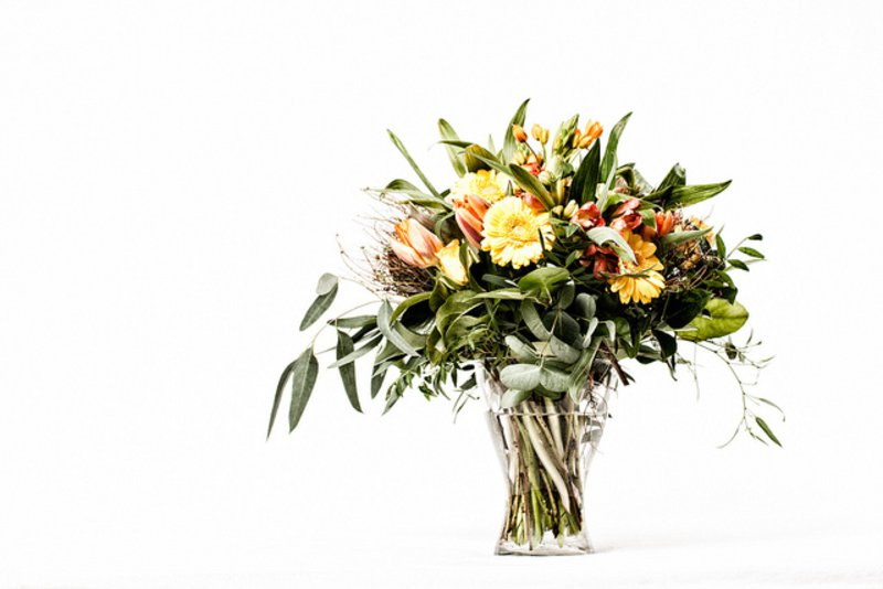proflowers-free-shipping-code-september-2023-verified-20-minutes-ago