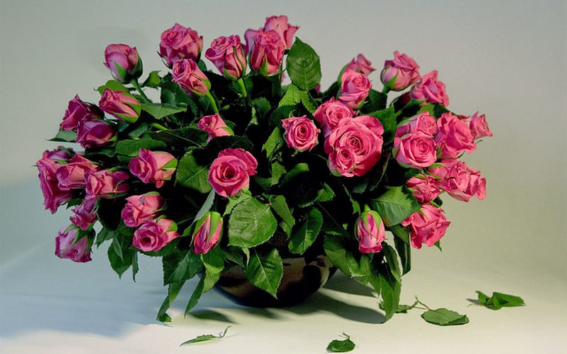 1800 Flowers Free Shipping